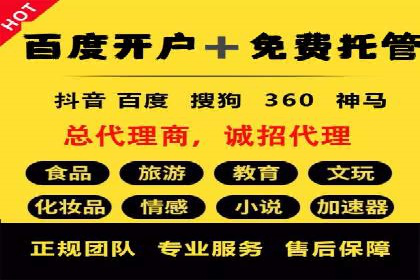 SEM营销案例：电商平台的流量密码